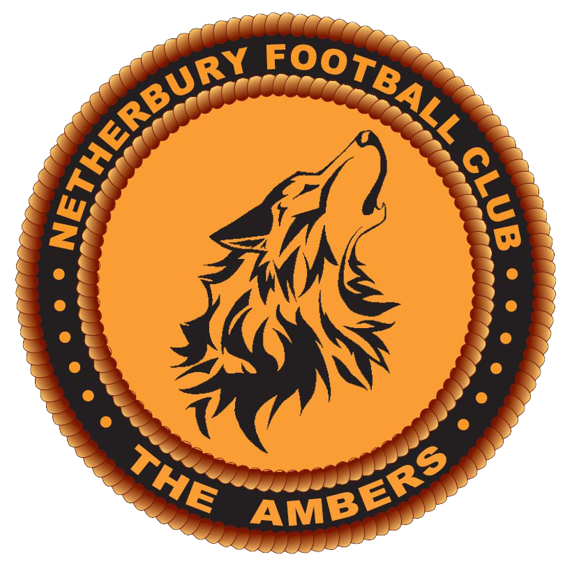 New_Netherbury_Logo_trans Netherbury Football Club Logo